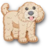 „B’golden Doodle Puppy Jibbitz – przypinka do butów”