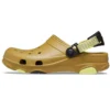 Classic Clog Crocs Beach „Green”