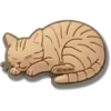 Przypinki Jibbitz™ „Kot pręgowany”