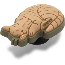 Przypinki Jibbitz™ „Kot pręgowany”