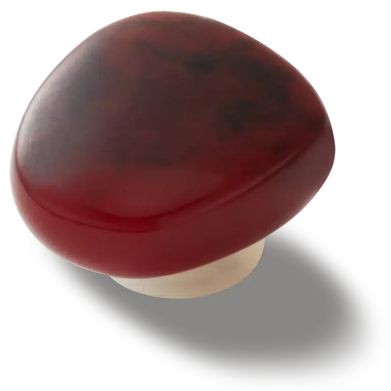 Przypinki Jibbitz™ z kamienia mahoniowego i obsydianu Przypinki Jibbitz™ z kamienia mahoniowego i obsydianu