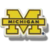 Przypinki Jibbitz z motywem Uniwersytetu Michigan