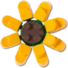 Przypinki Lego® Jibbitz™ w kształcie słonecznika Przypinki Lego® Jibbitz™ w kształcie słonecznika